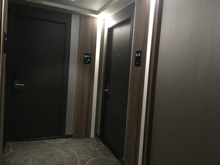 客室入口付近廊下とドア