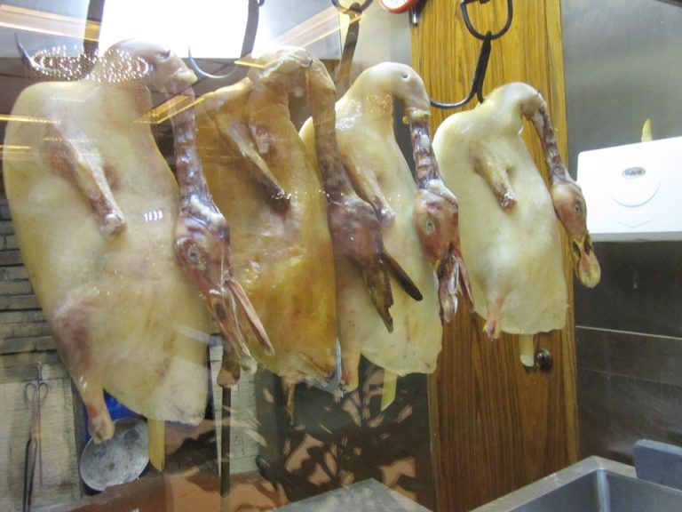 ダックコーナーに吊るされているダック