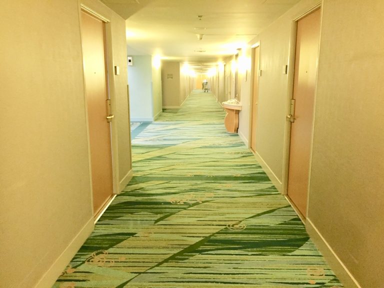 客室廊下全体
