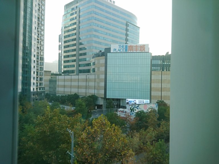 部屋からの眺望(南豊城)