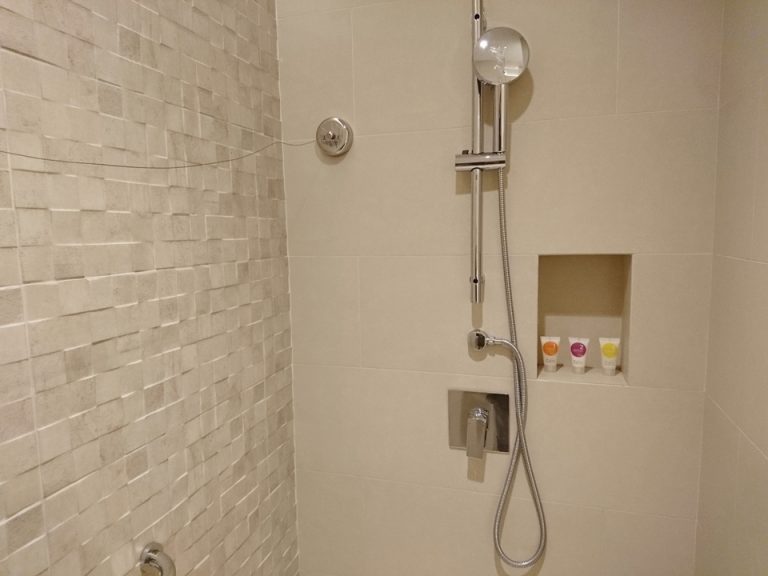 ハンドシャワー(レインシャワーなし)