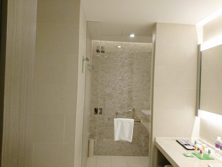 バスルーム入口から全景