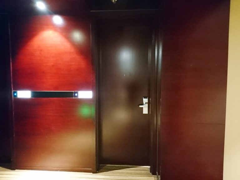 客室ドアの外観(全体)