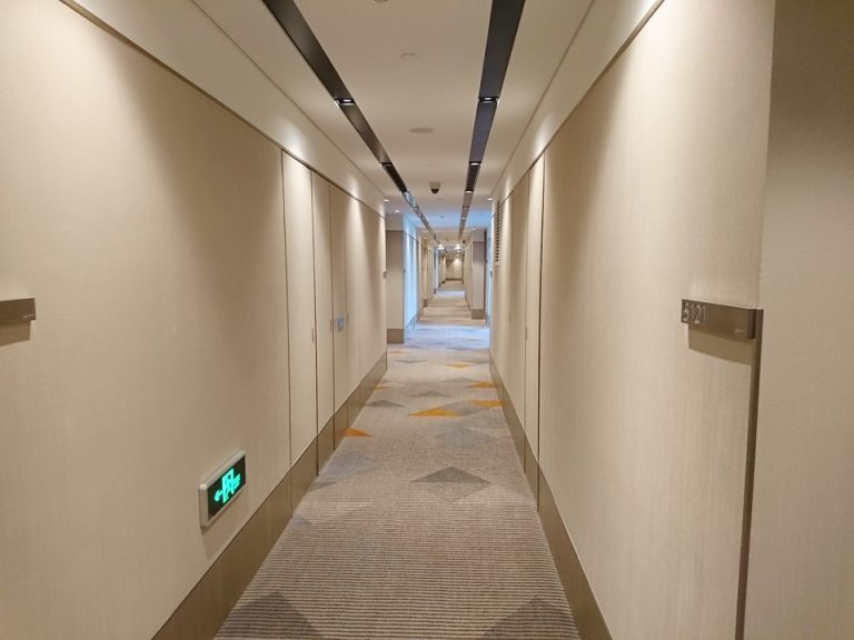 客室入口付近の廊下
