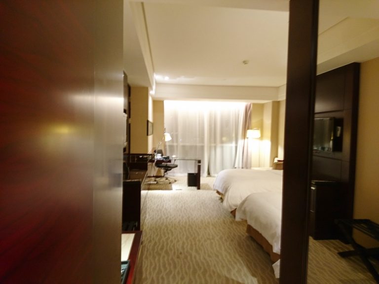 部屋の内観(入口側)