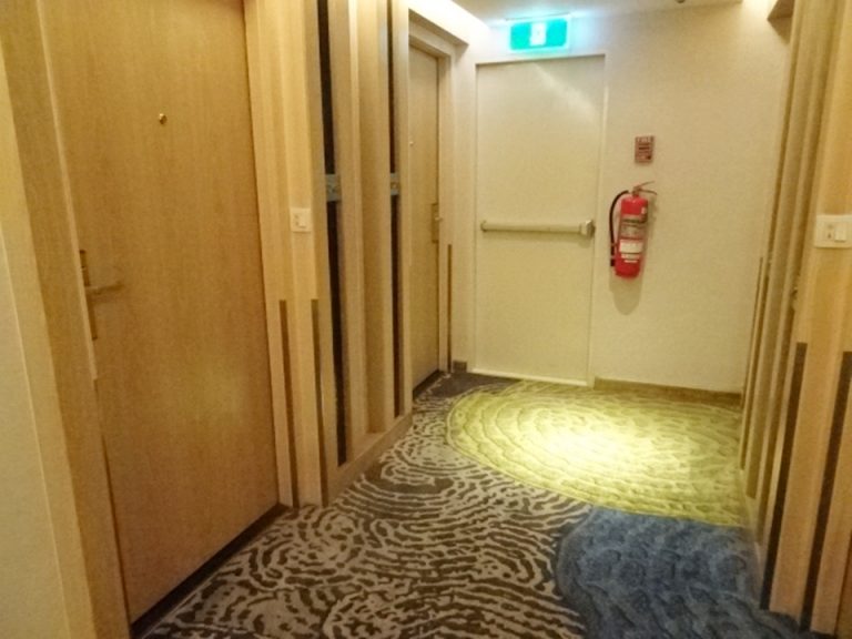客室入口付近廊下