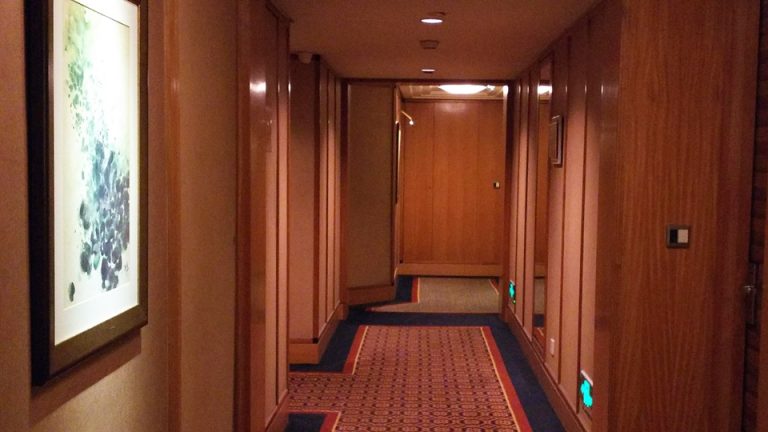 0502_廊下-客室入口付近廊下 (1)