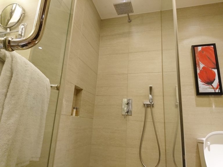 シャワー室内観、レインシャワー