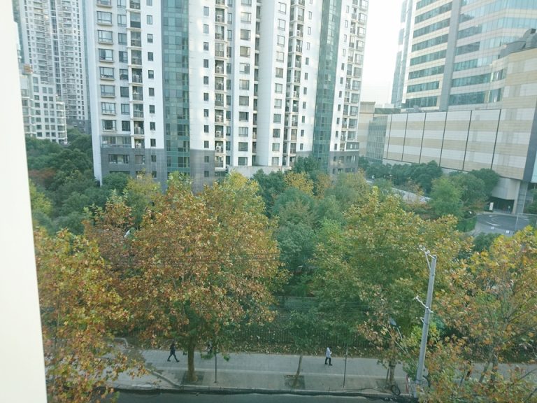 部屋からの眺望(地上面)