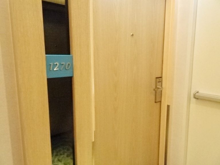 客室入口外観ドア