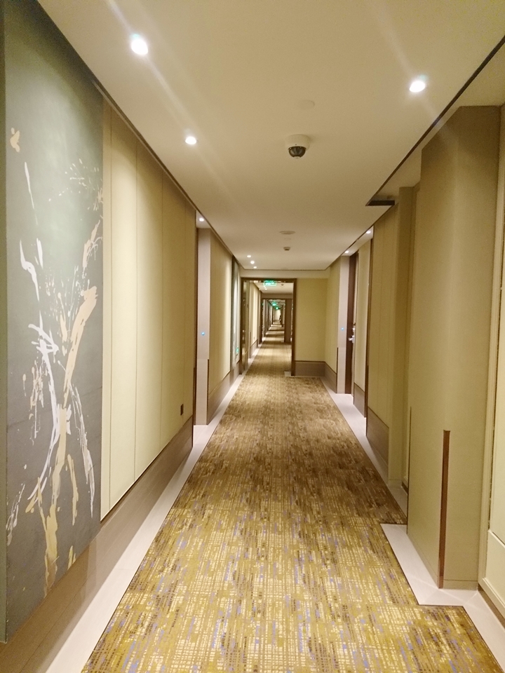客室階廊下2