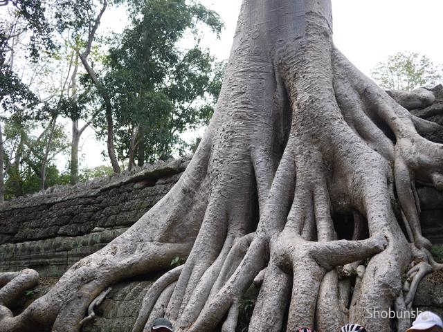 04 観光スポット2