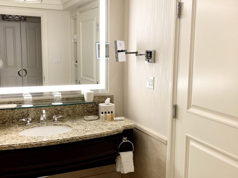 バスルーム入口から全景