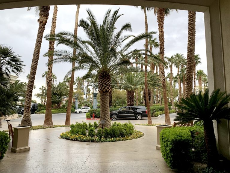 エントランス内観