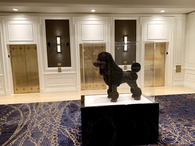 エレベーターホールフロント階