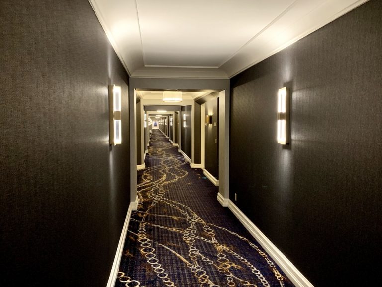 客室入口付近廊下