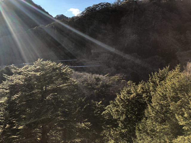 テラスから見える景色