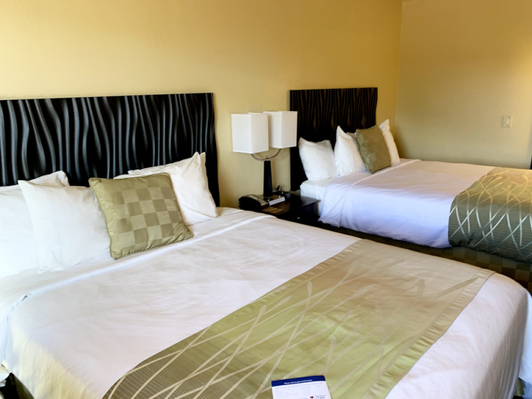 客室全体(入口方向)