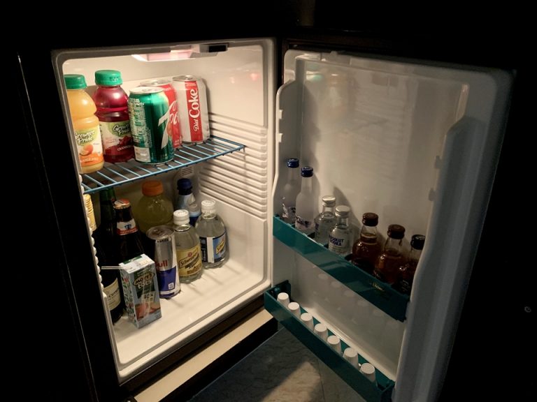 冷蔵庫(開けた状態)