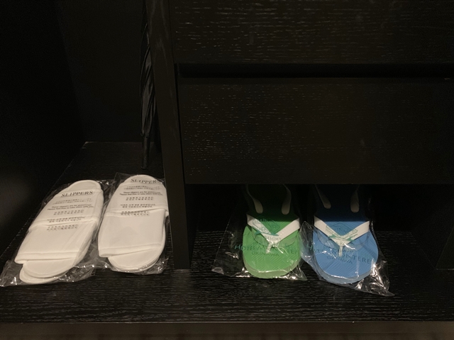 クローゼット内観2