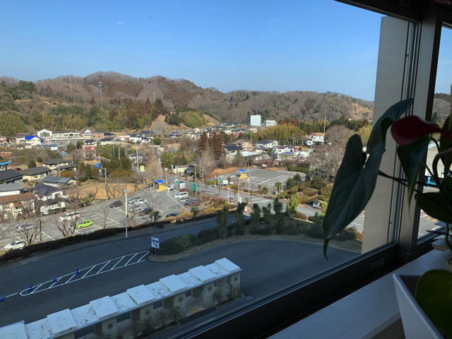 ハワイ感を損なわないためか、バルコニーなどはなく、小さな窓にもブラインドがかかっています。