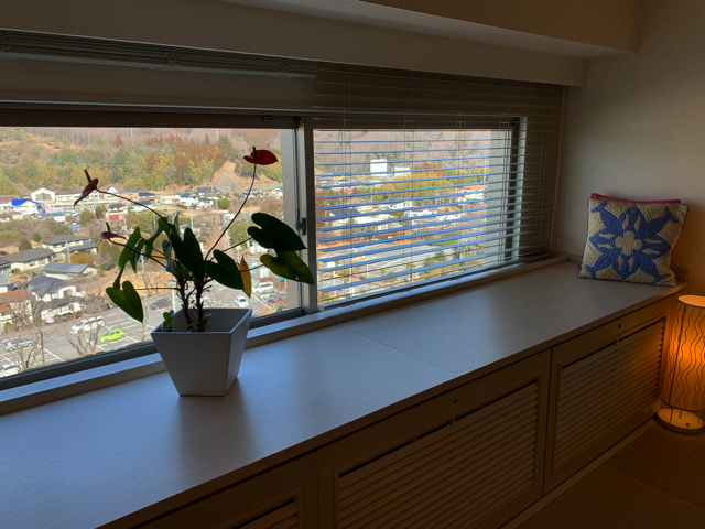 窓際に生花のアンスリウムが置いてありました。部屋に生花があるのは珍しいですね。