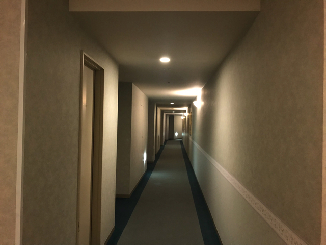 廊下 客室階 copy