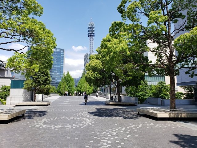 横浜美術館とマークイズみなとみらいの間の道は緑もいっぱいで散歩するのに気持ち良いです