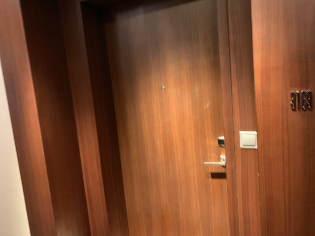 客室入り口外観ドア