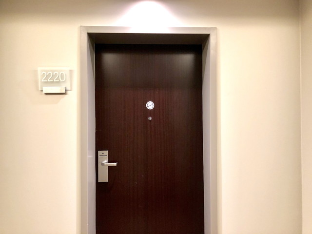 客室入り口外側ドア