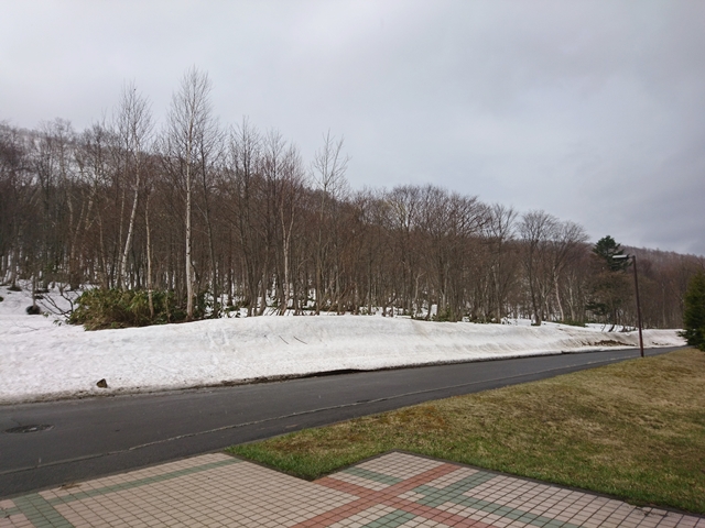 まだ雪が残っている道路沿い