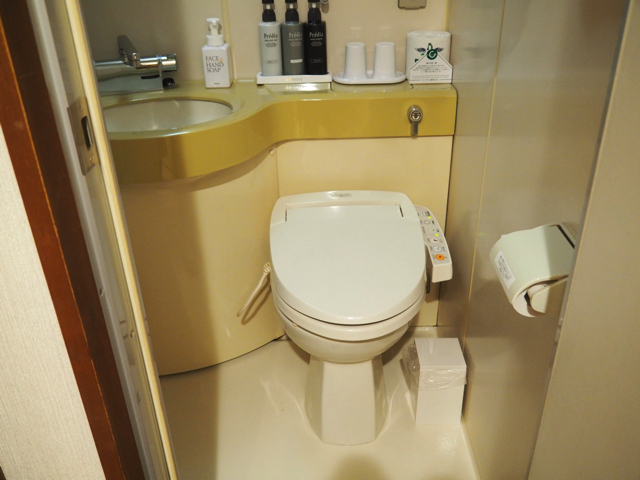 トイレ バスルーム入口から全景 狭い空間です 左隣はバスタブです 角度的にバスタブを写せませんでした copy