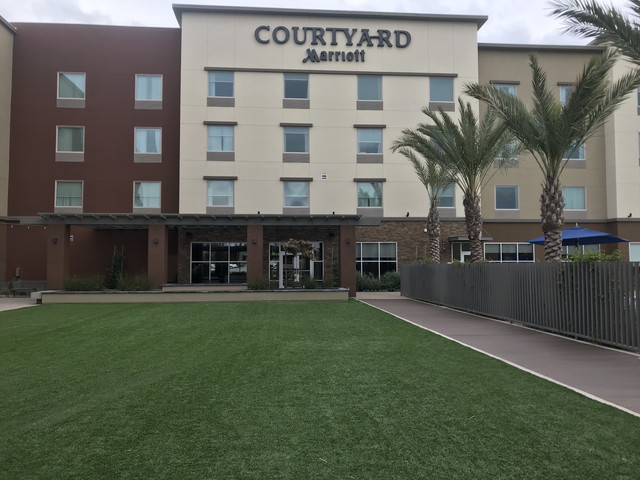 ちょっとしたフットボール遊びにちょうどいい!芝生!