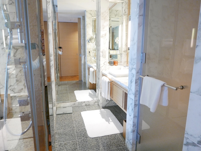 バスルーム入り口から全景