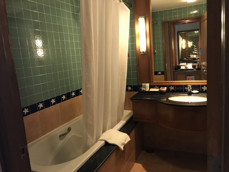 バスルーム入り口から全景