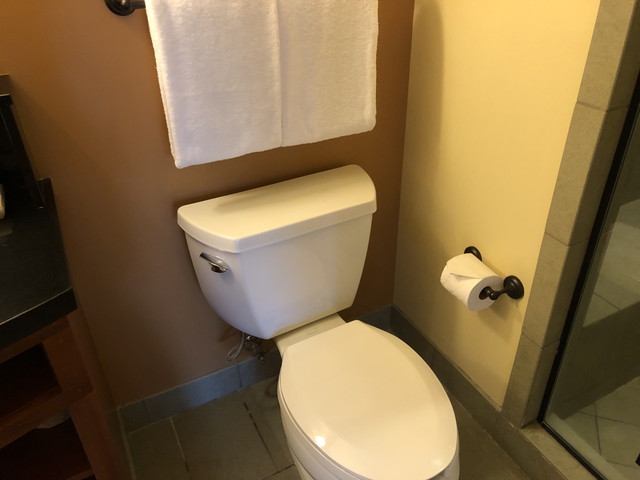 トイレ キレイだけれど流す時うるさい