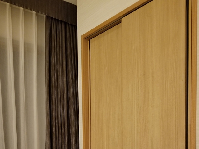 クローゼット外観(閉じた状態) 1