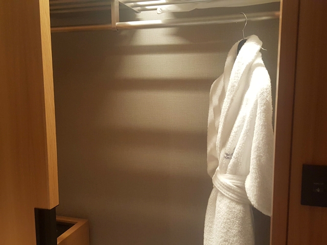 クローゼット外観(開けた状態)_2