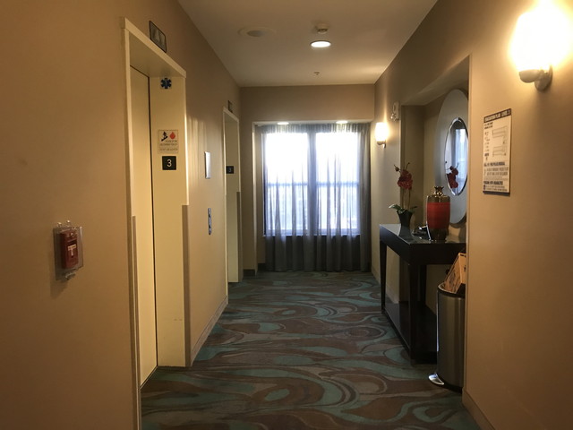 室階エレベーター付近