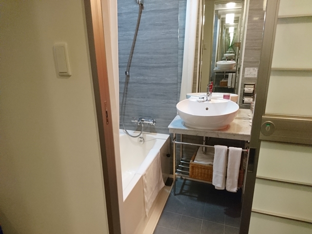 バスルーム入口からの全景