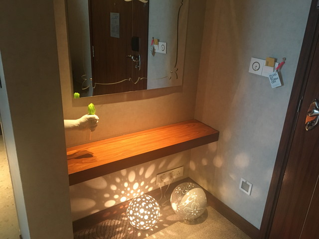 客室入口内観ドア