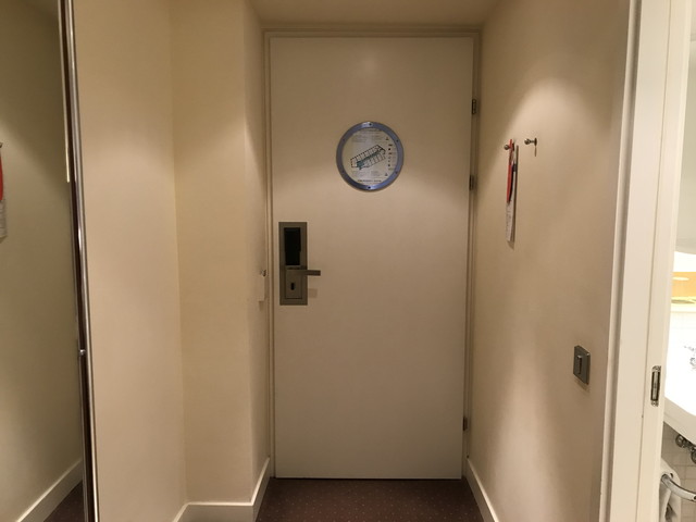 客室入口内観ドア3