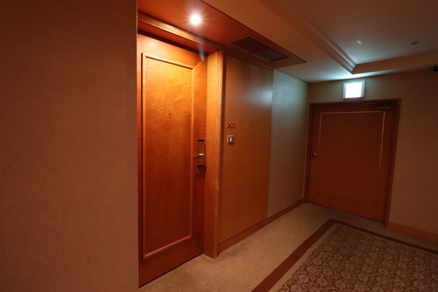 客室入口付近廊下