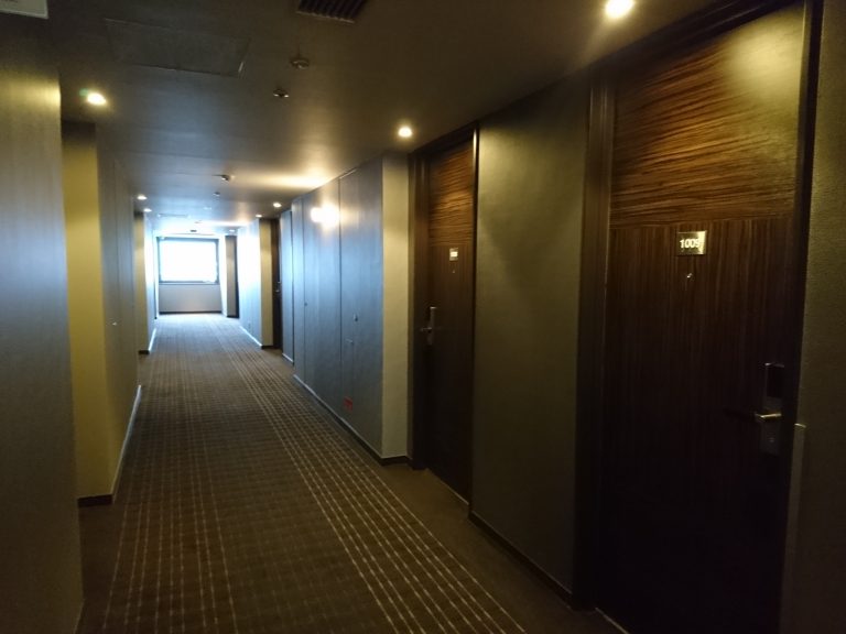 客室入口付近廊下