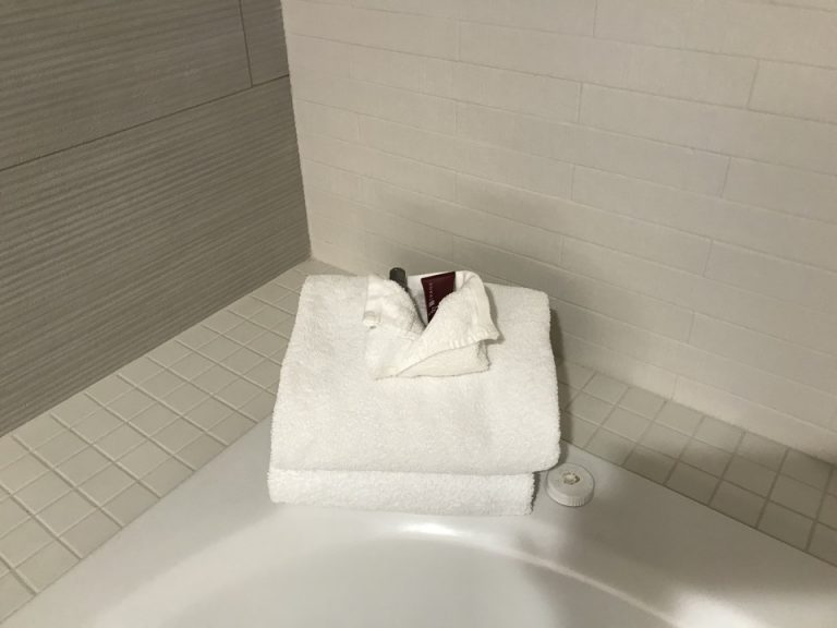 ジャグジーにもタオルソープがありました