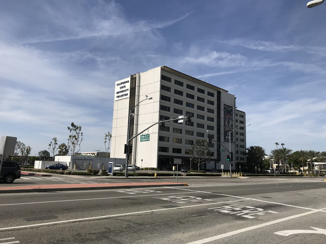 California state university