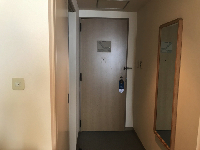 客室入口ドア 内観