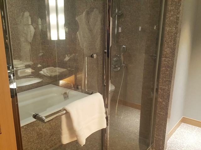 バスルーム入口から全景_2