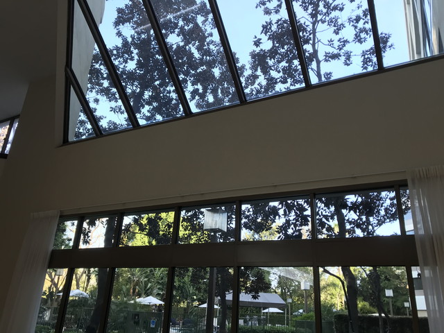 1階ロビー付近天井