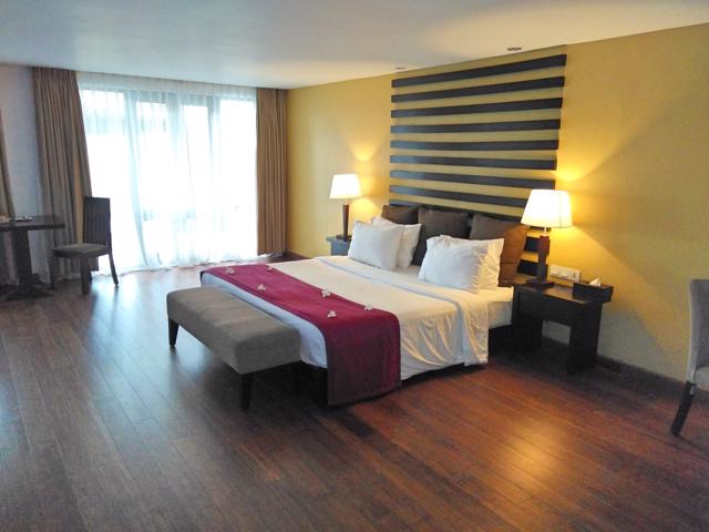 客室全体(窓際方向)5